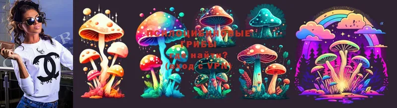 нарко площадка наркотические препараты  Ивангород  Псилоцибиновые грибы Cubensis  OMG сайт 